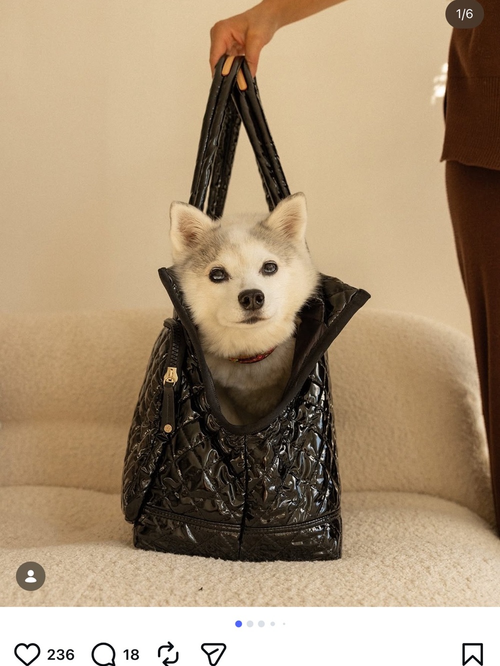 MZ Wallace Glossy Black Quilted Nylon Dog Carrier - Picture 7 of 7